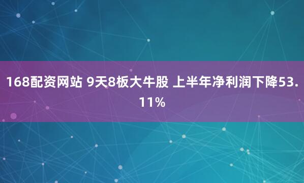 168配资网站 9天8板大牛股 上半年净利润下降53.11%